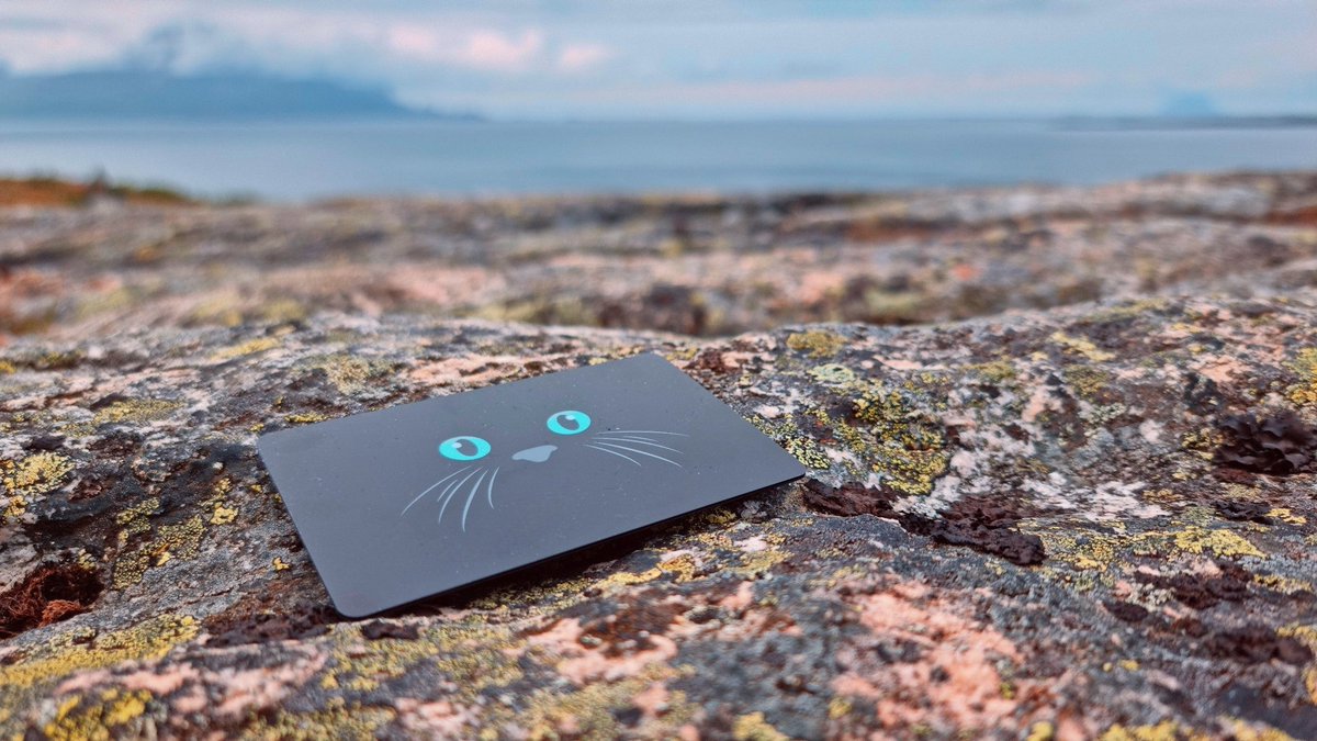 Exploring the stunning fjords of Norway 🇳🇴 while securing my crypto with style using my $Nacho-branded Tangem wallet. <a href="/Tangem/">Tangem</a> is truly like the mountains—strong, secure, and timeless.

P.S. I love the coffee here! ☕️