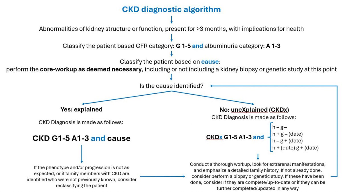 Lucile Figueres (@lucilefigueres) on Twitter photo Proud to have contributed to our <a href="/ERAkidney/">ERA - European Renal Association</a> WG Genes&Kidney consensus statement on CKDx (X for unexplained cause) published in #NDT.
Transparent classification is of great benefits for patients and accelerates research !
academic.oup.com/ndt/advance-ar… Proud to have contributed to our <a href="/ERAkidney/">ERA - European Renal Association</a> WG Genes&Kidney consensus statement on CKDx (X for unexplained cause) published in #NDT.
Transparent classification is of great benefits for patients and accelerates research !
academic.oup.com/ndt/advance-ar…