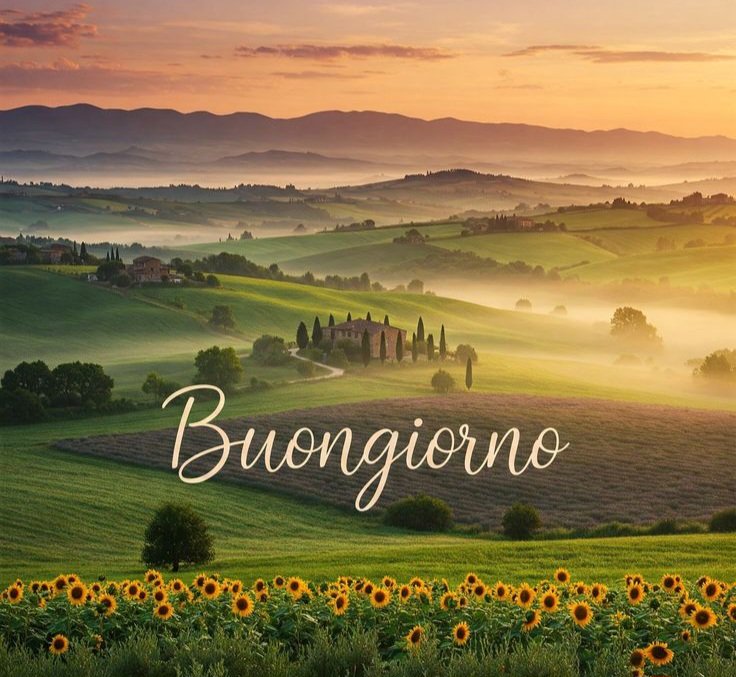 <a href="/VieNatureSavoir/">Ⓜ️ⒶⓇⒸ ღ</a>