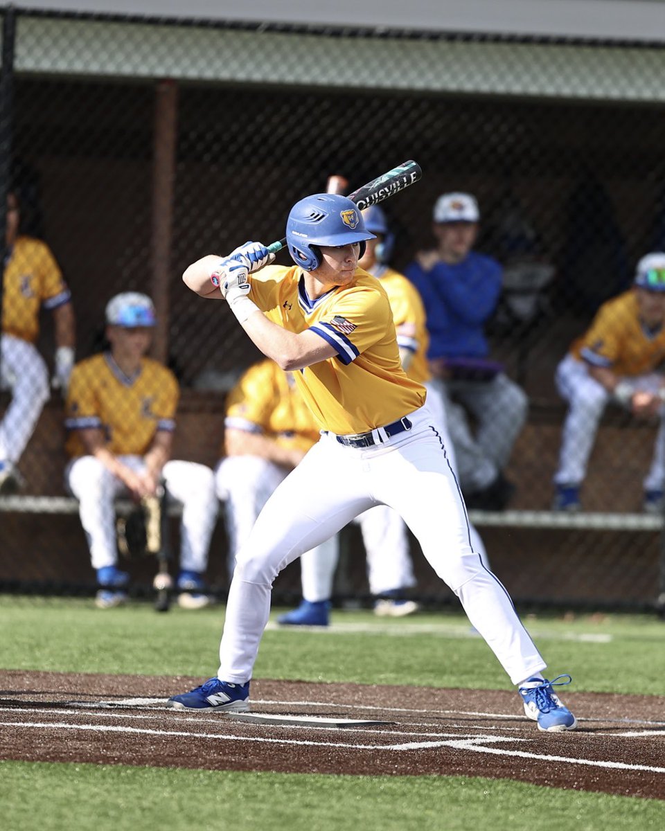 Lyndhurst Baseball tweet media