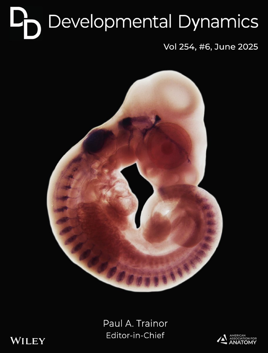 RosaPrantern tweet picture