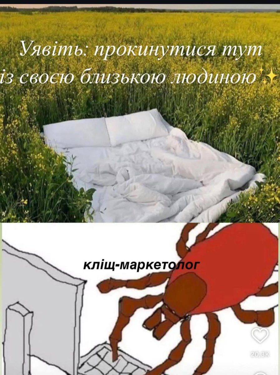 Мій рівень гумору 🤌