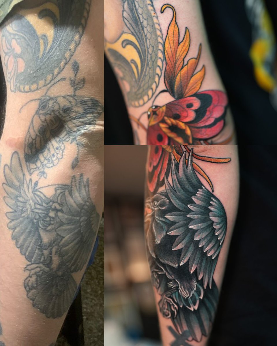 stevanmarroquin's tweet photo. Blast over / Cover up.

Si quieres cotizar un cover up me puedes escribir por mensaje directo.

#blastovertattoo #coveruptattoo https://t.co/pPaV5jCNbI