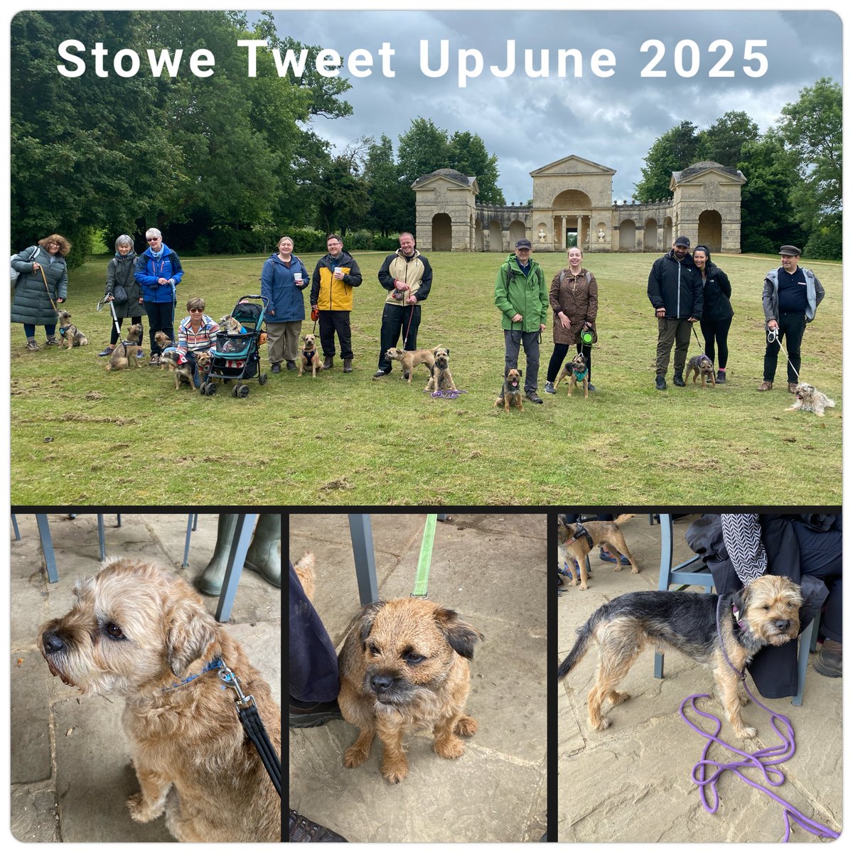 MrSebBT's tweet image. Pawsome tweet up today at Stowe #stowetweetup 

Txs to all the pals who attended 🐾🐾#btposse 

@lyndaward5 @Tyler5Eddie @HarristheBorder @bthooligan @Freddie_bt @Bertie_the_BT @rockafella_mr @3Paddies @willowborder @welshborders @BertieTheBorder @BorderTeddyer