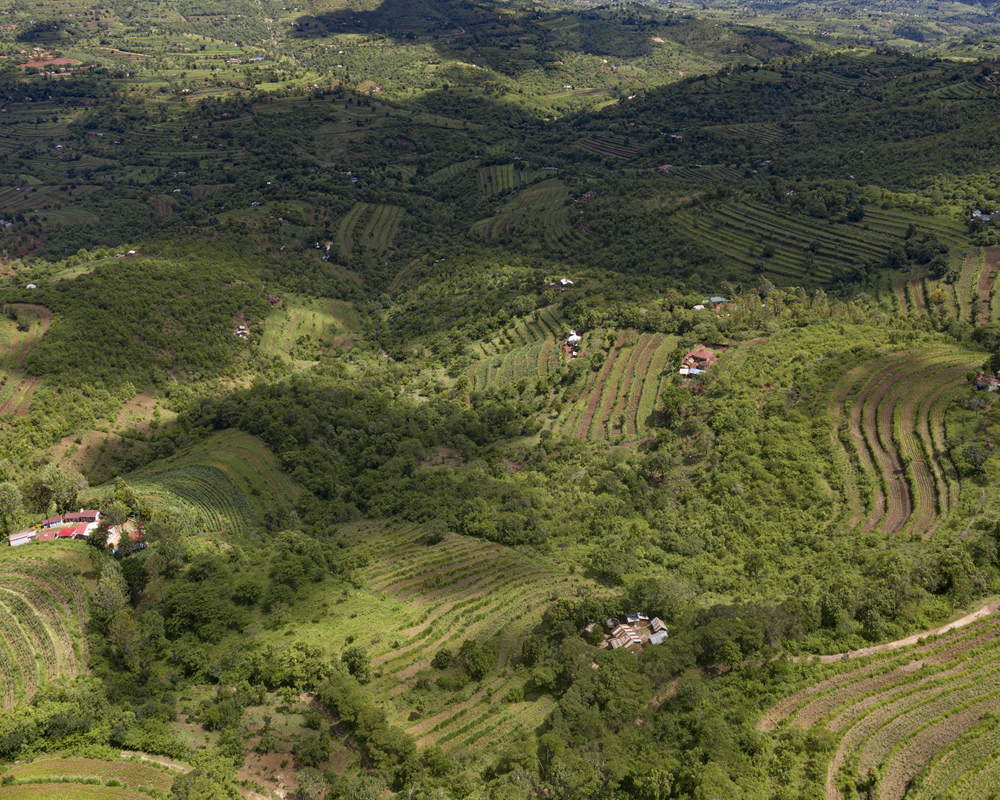 CIFOR-ICRAF tweet media