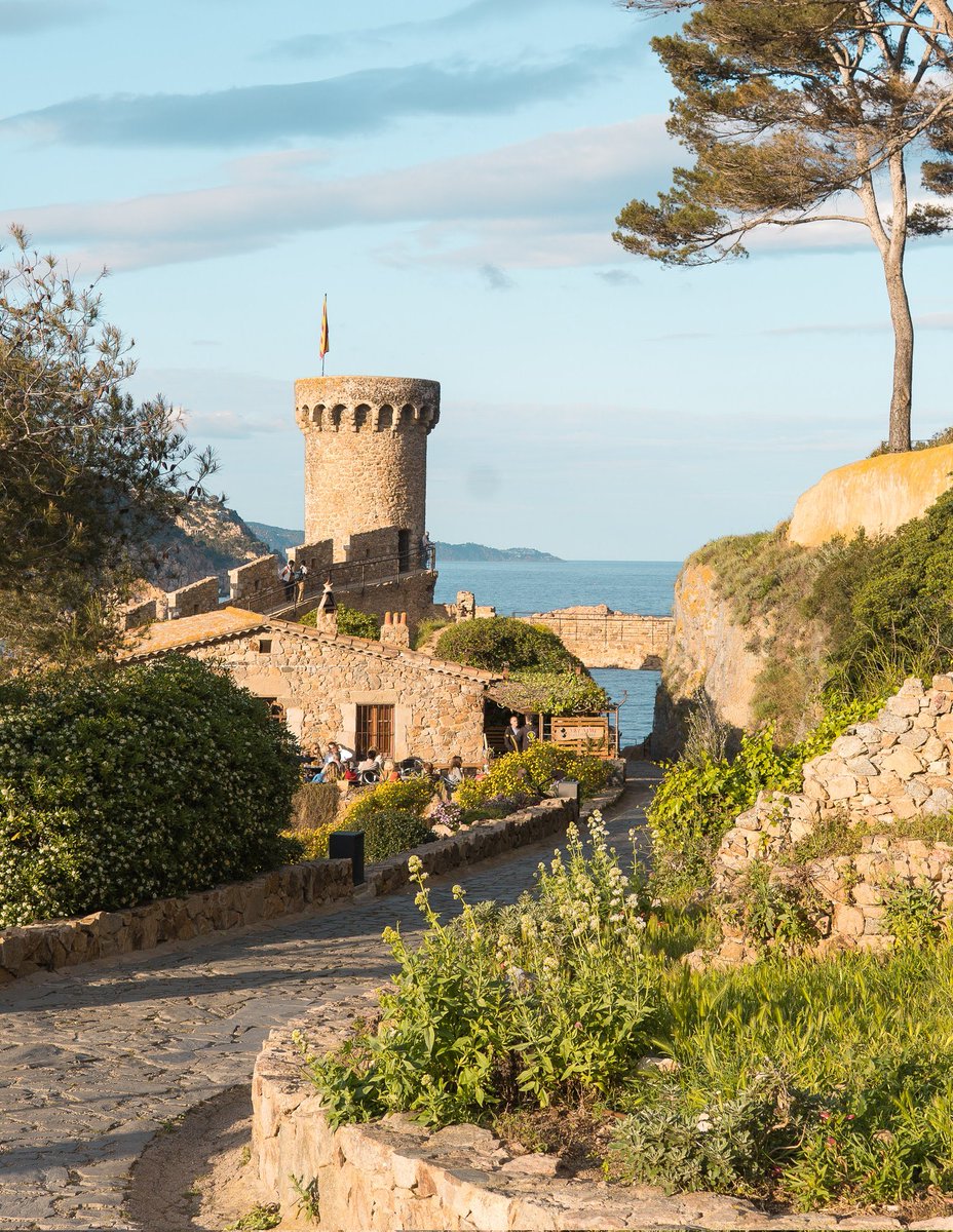 Old World Explorer tweet media