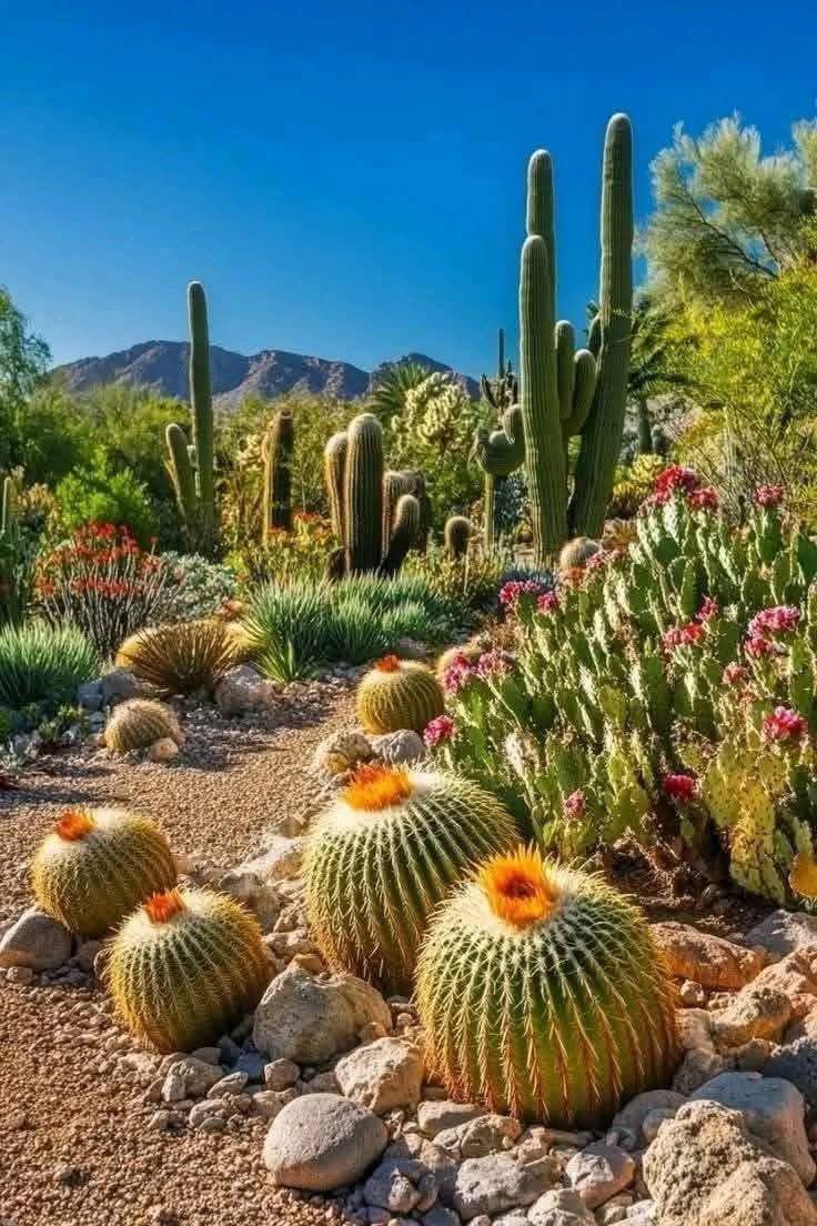 Tom Thompson tweet media