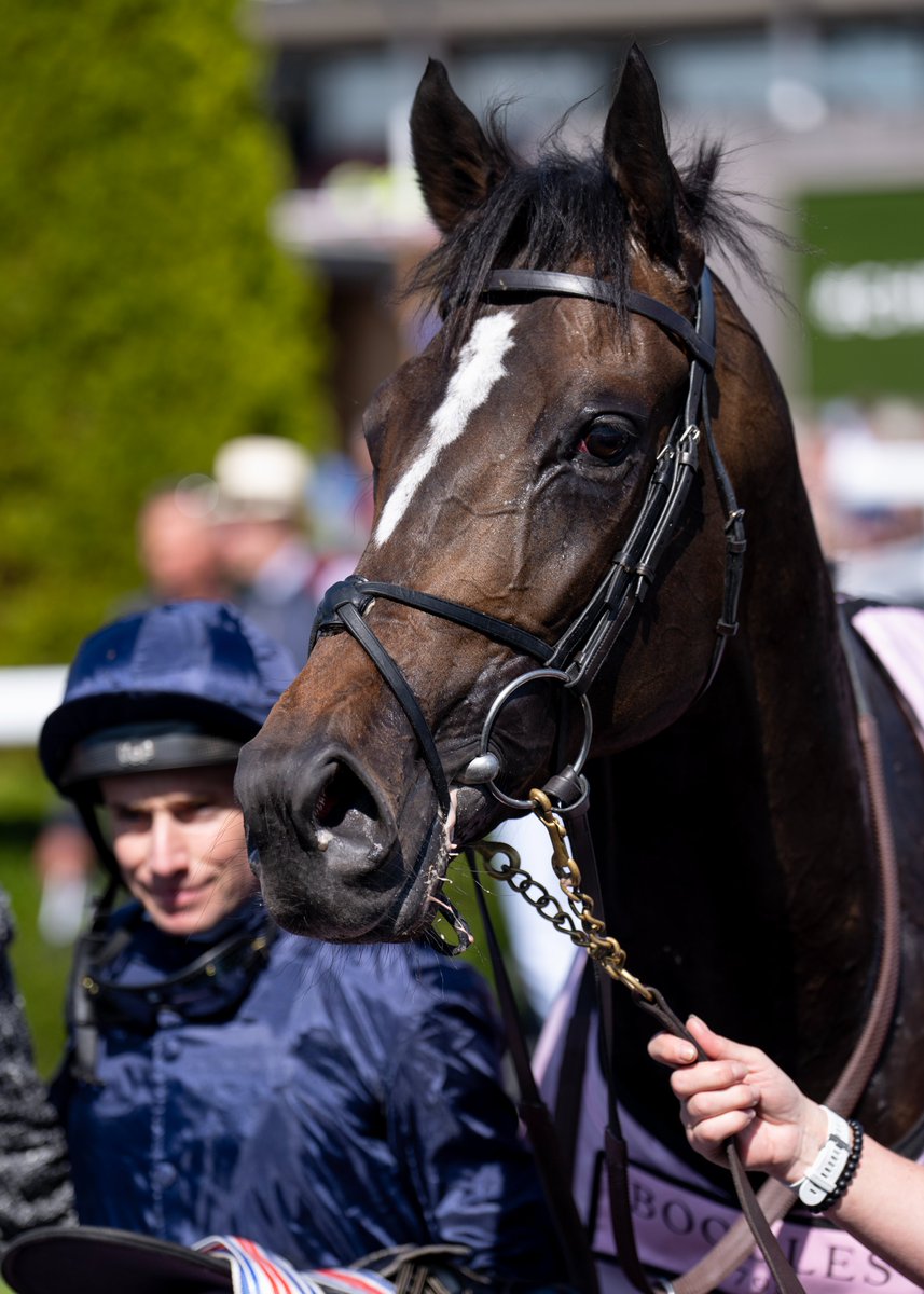 11 years after Australia won the Derby his son Lambourn runs away with the 2025 Classic under Wayne Lordan.

A Coolmore homebred, the colt is the second foal out of Gossamer Wings who was a 5f winner at two. The daughter of Scat Daddy was placed in the Queen Mary and Flying