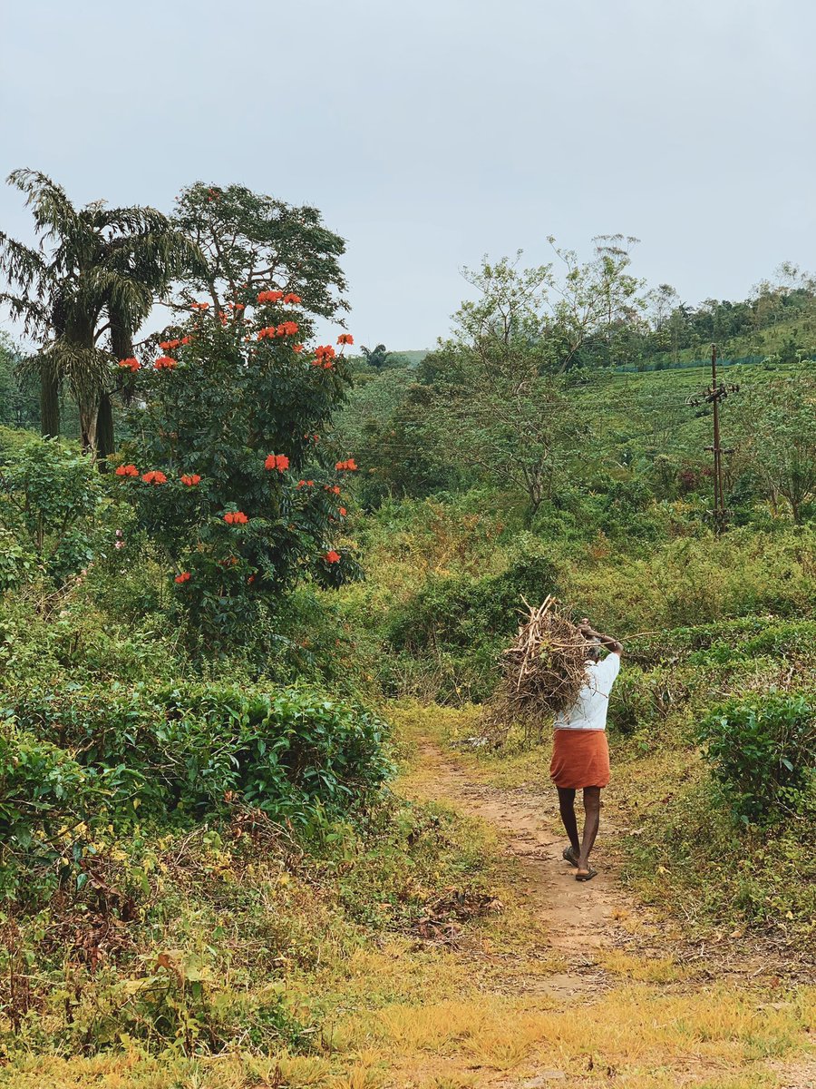 Idukki, 2020.