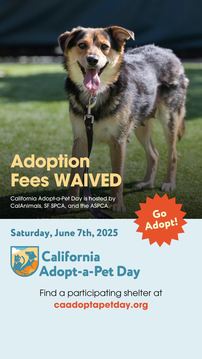 Paris Hilton tweet media