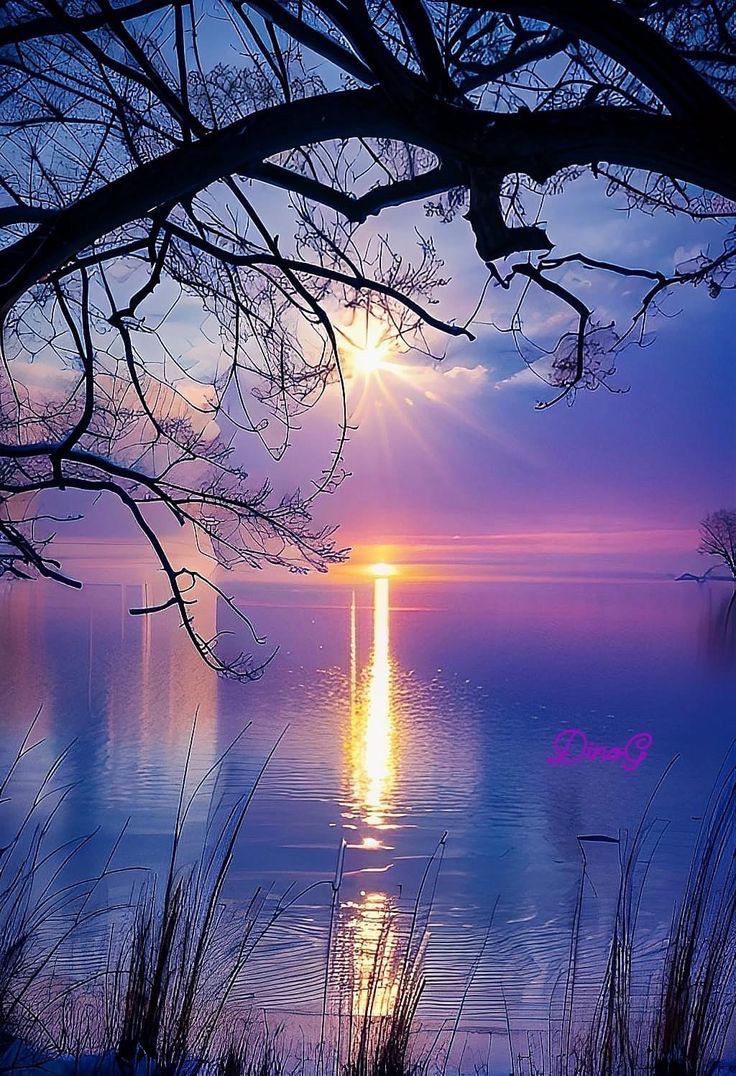 Xenia (@mubeen477) on Twitter photo 