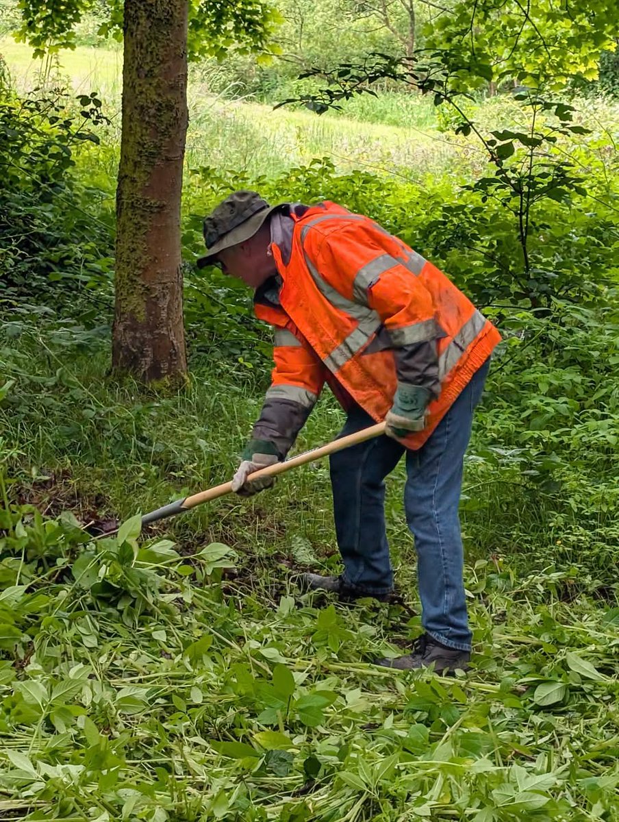 Today, despite the pouring rain, a dedicated group of volunteers, along with Ranger Chris, ventured out into the valley to tackle the invasive Himalayan balsam - a plant that threatens our local biodiversity. Thank you to everyone who braved the weather today.
