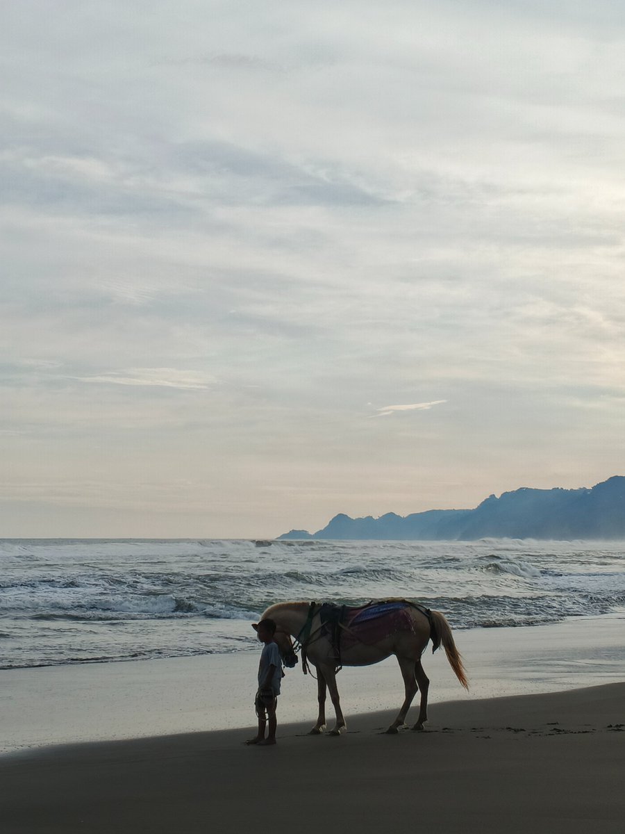 sukasuki tweet media