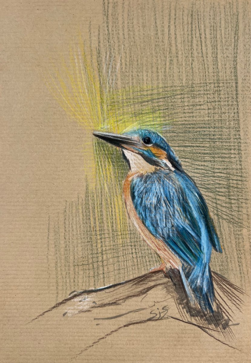 Having a fun/play sketch on Kraft brown paper using colour pencils #sketches #Pencildrawing #kingfisher #drawings