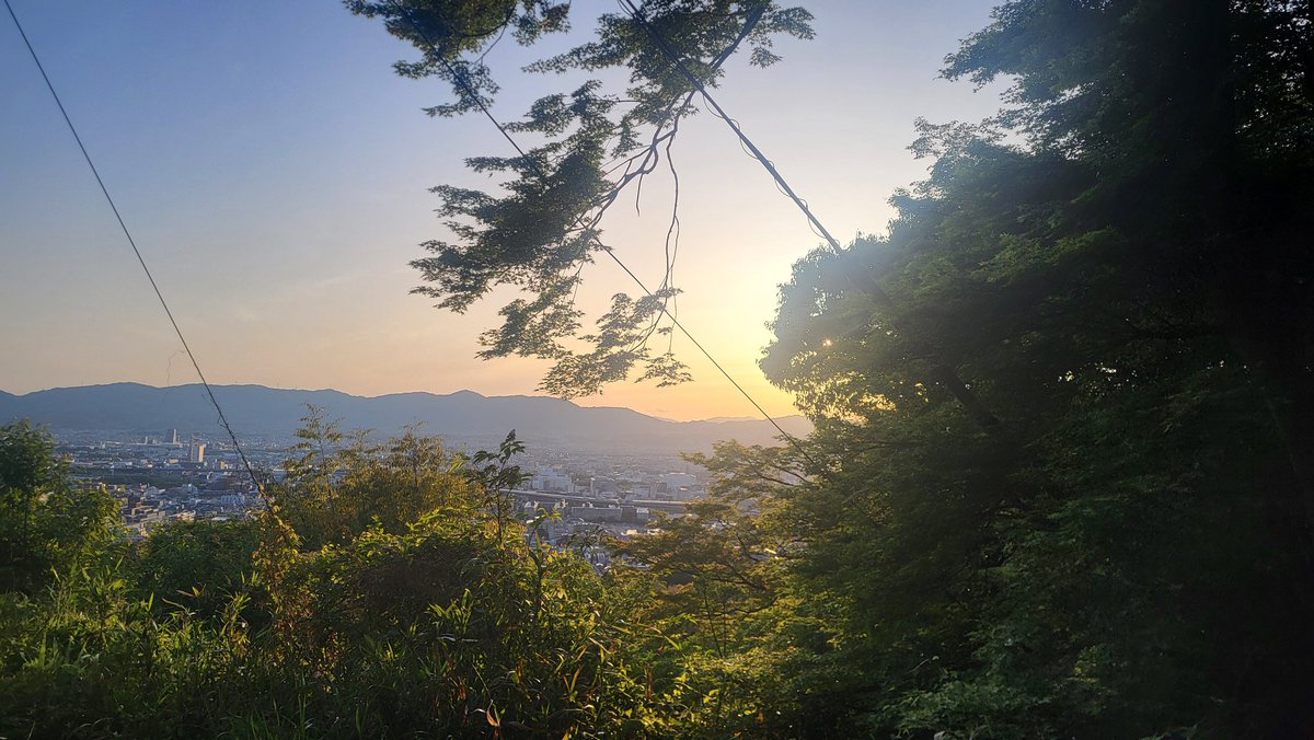 minimario1729's tweet image. im (still) in the bay area, if you're around let's hang out! (and always looking for new activity inspiration 😀)