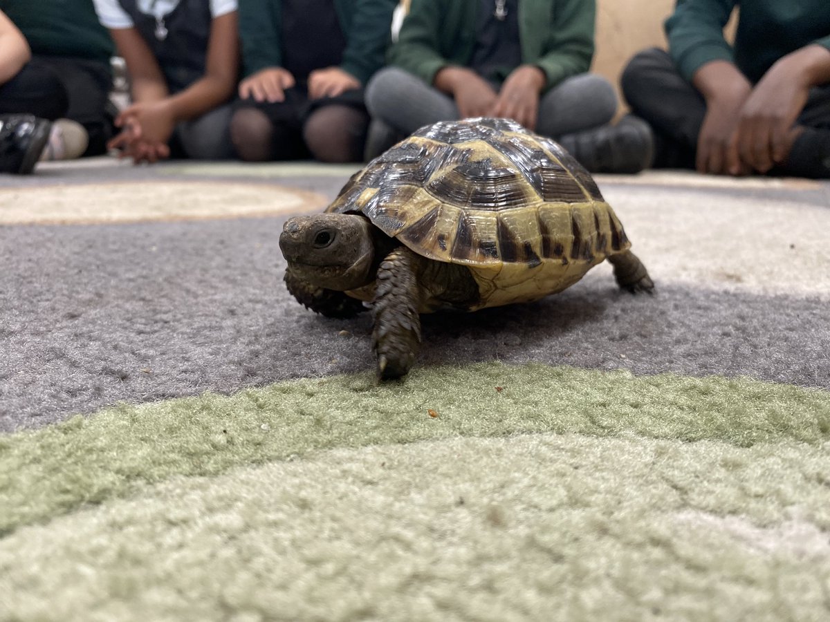 St Patrick's Catholic Primary School - Bircotes tweet media