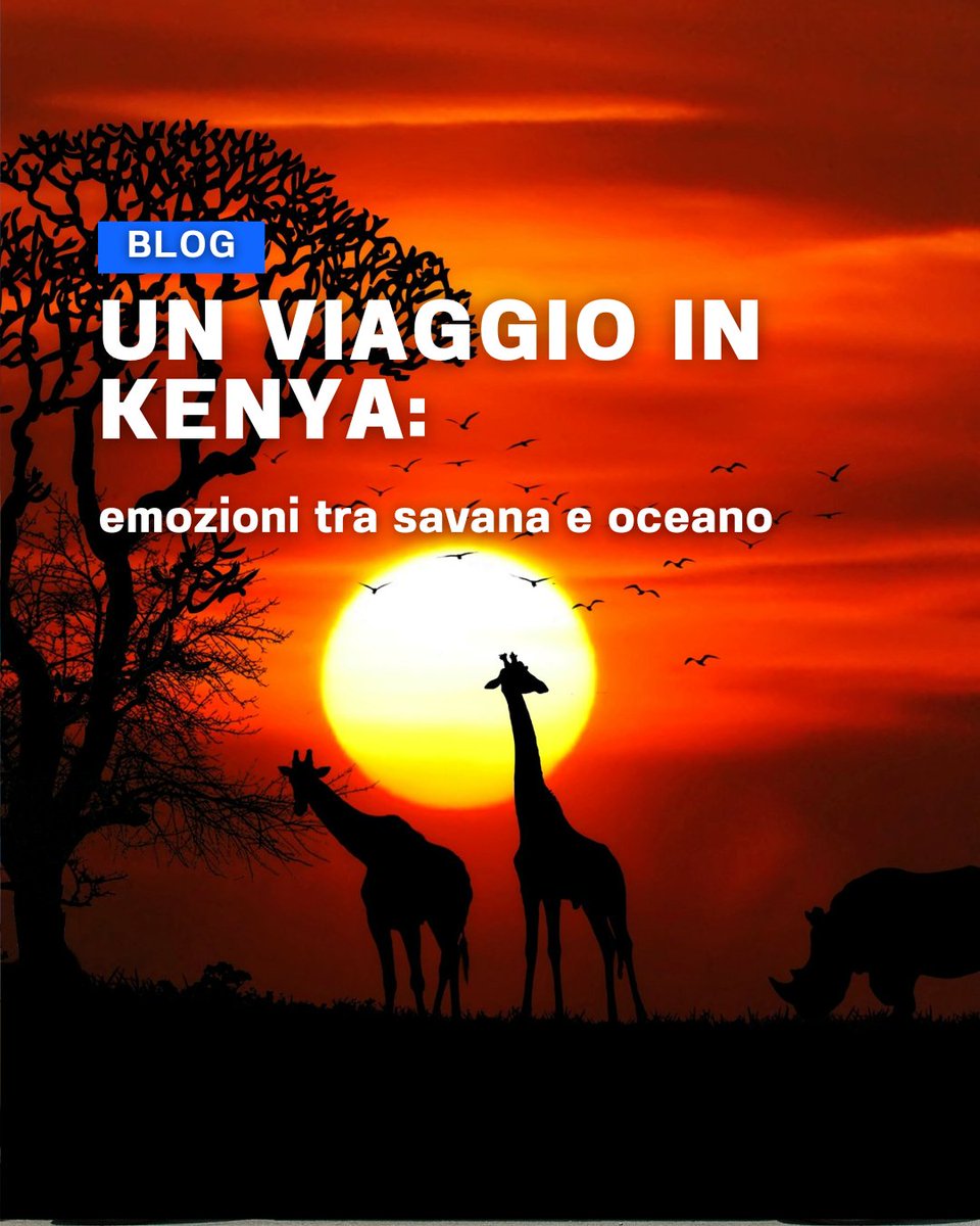 Kenya: un viaggio tra savana e oceano, natura e magia 🌅
Dai safari nel Masai Mara alle maree di Watamu, lasciati ispirare dai racconti dei nostri esperti.
👉 Leggi l’articolo completo:
n9.cl/mpq73

#evolutiontravel #consulenteviaggionline #Kenya #Safari