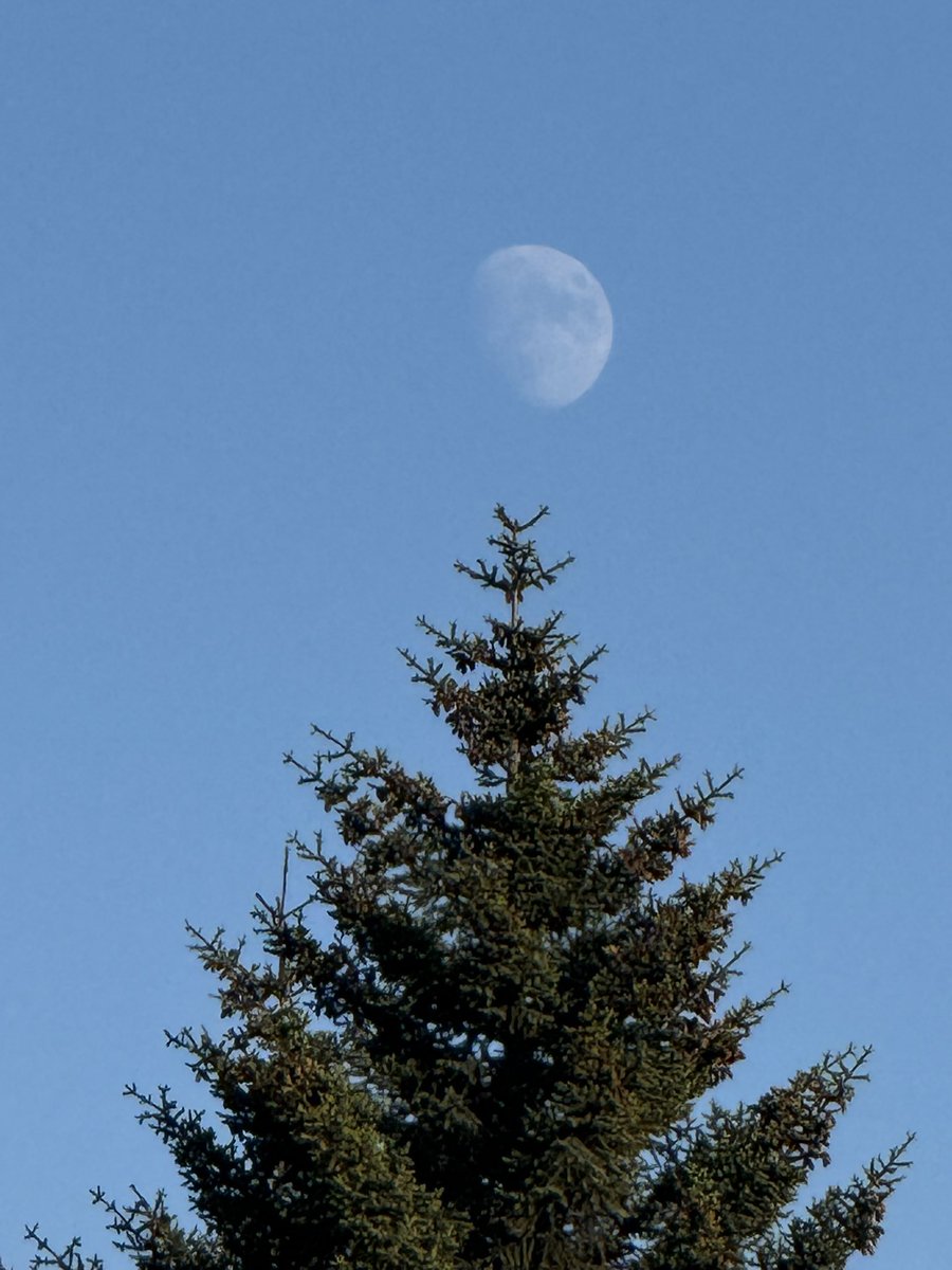 Halló Máni! 😍 Tunglið verður fullt 11. júní. Sumarmáninn er alltaf lágt á lofti og fær þá á sig rauðleitann blæ. Stundum er fulla júnítunglið kallað Jarðarberjamáni
