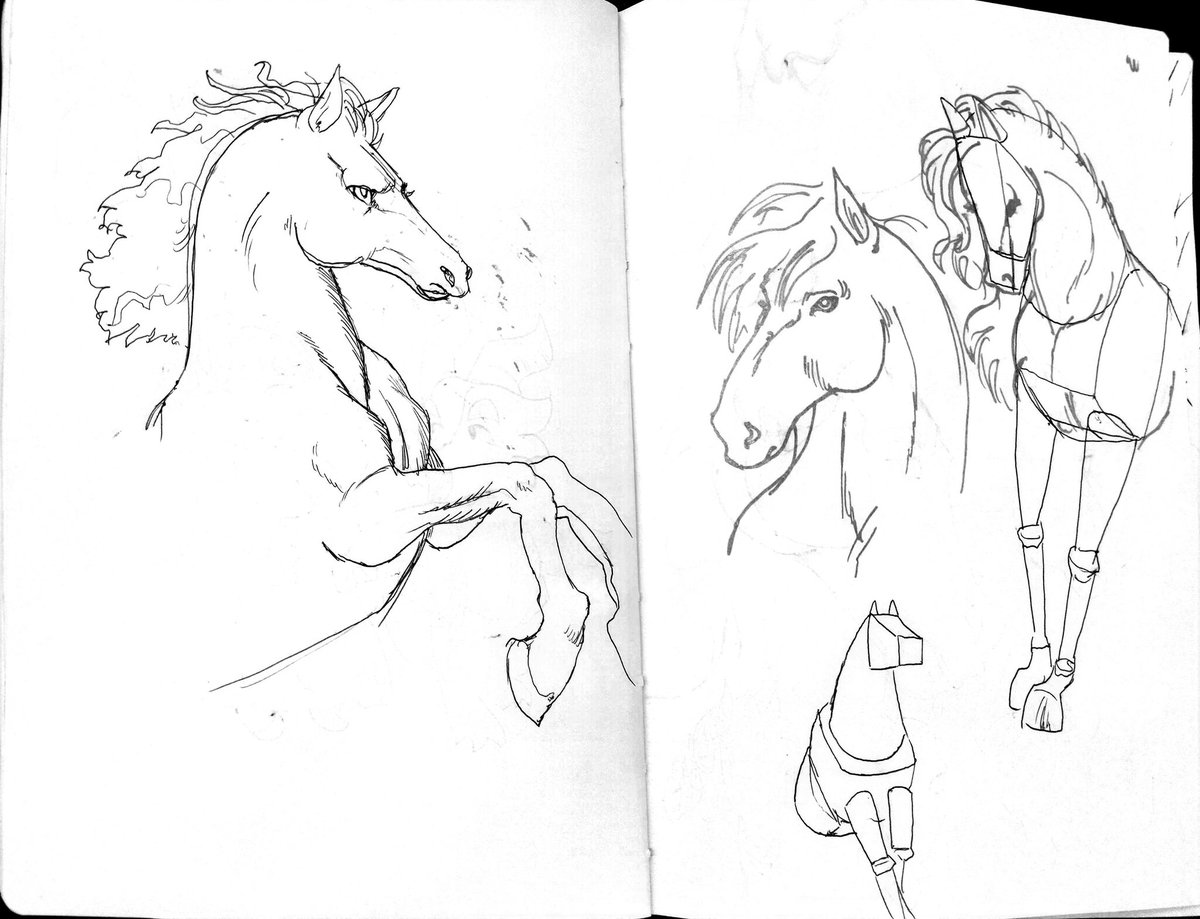 V_Nico_'s tweet image. I got really interested in realistic horses because of a book of Narnia I was reading