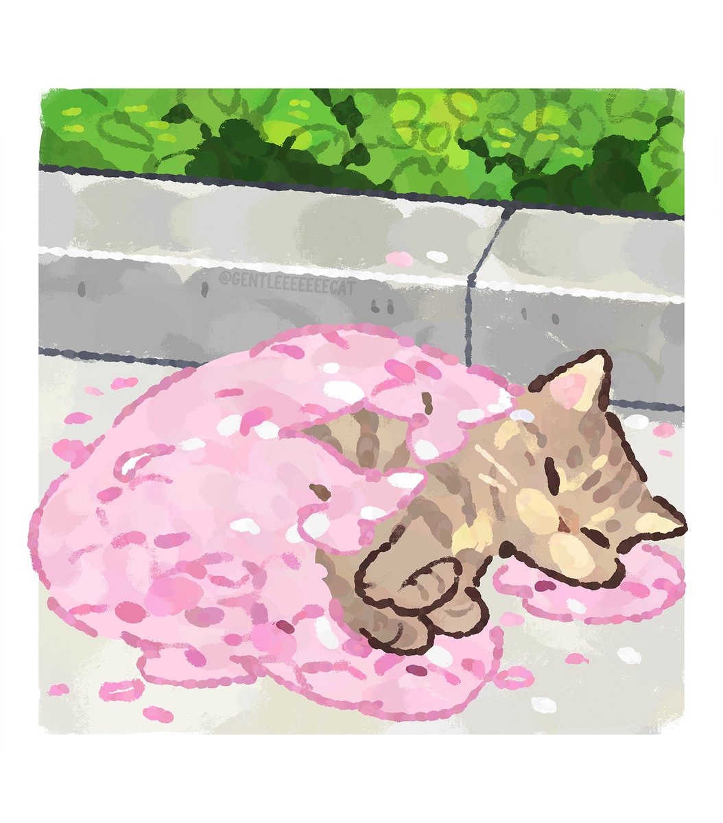 catshealdeprsn's tweet image. 