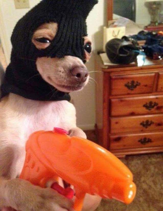 Me as a thief, nyabo ago amabina gadala oba faco
