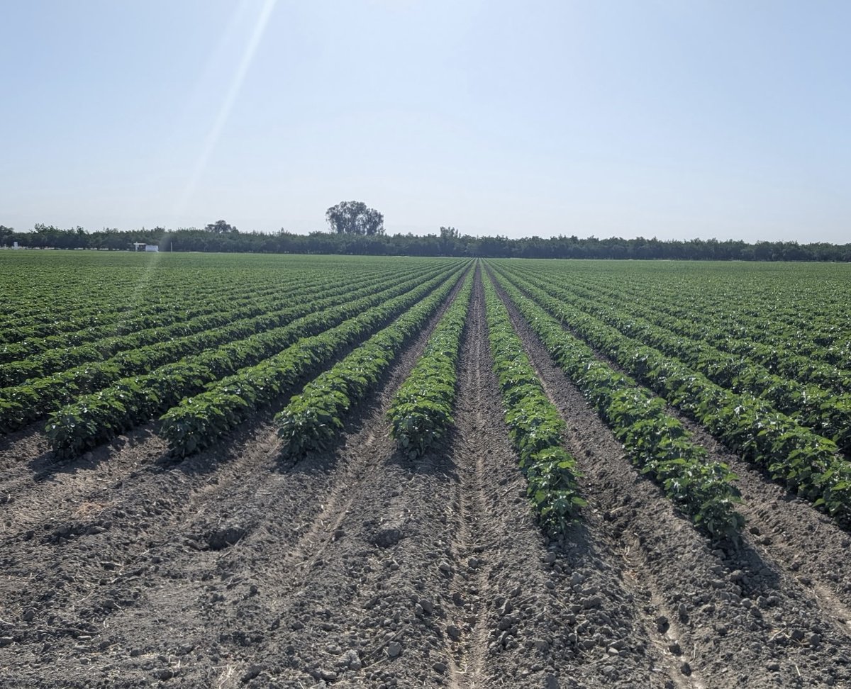 Thanks to Geoff Toledo in Hanford, CA, for sharing this photo with us of one of his beautiful farms!