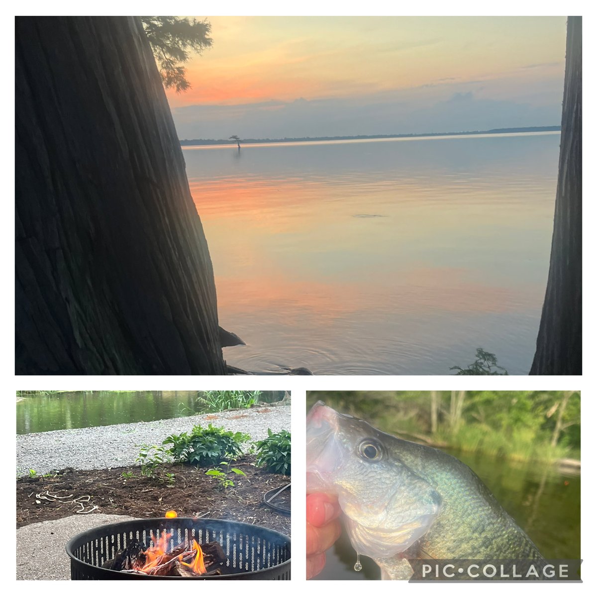 Good times at ⁦<a href="/BlueBankResort/">Blue Bank Resort</a>⁩.