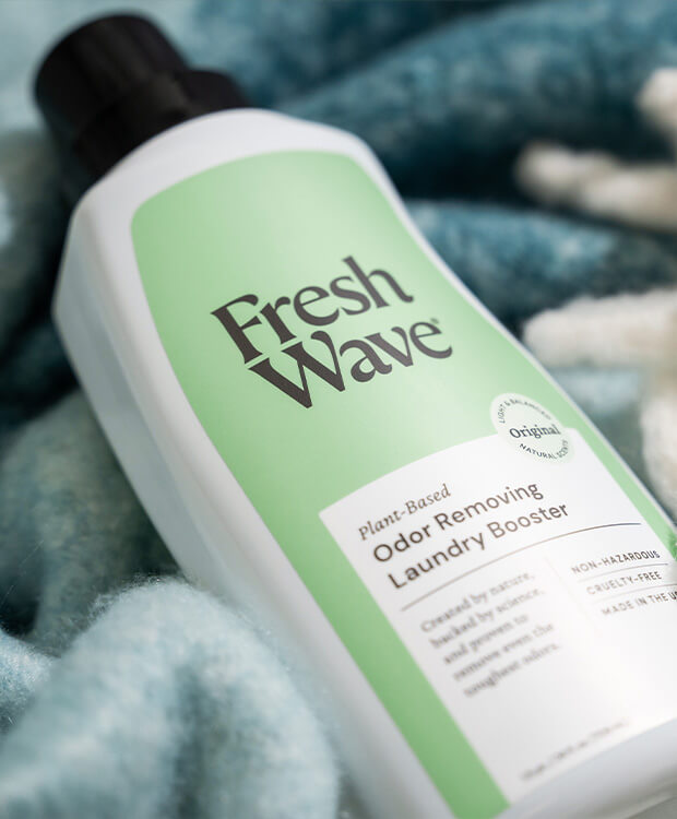 Fresh Wave tweet media