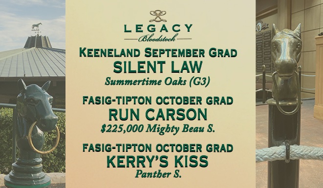Legacy Bloodstock (@legacybloodstoc) on Twitter photo π« All 3 of our Stakes Performers earned black type yesterday and 3 more #LegacyBuilders π π run in Stakes across the country today!
π π π π« All 3 of our Stakes Performers earned black type yesterday and 3 more #LegacyBuilders π π run in Stakes across the country today!
π π π