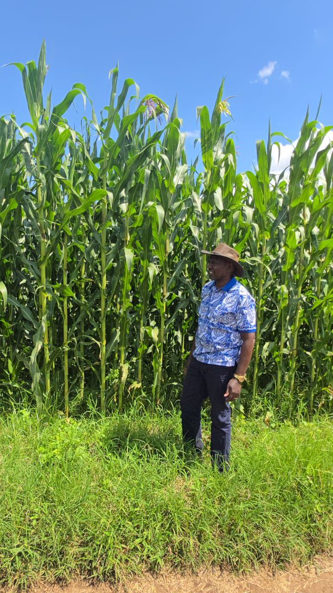 Once a Farmer, always a Farmer !!

●• WSR •●