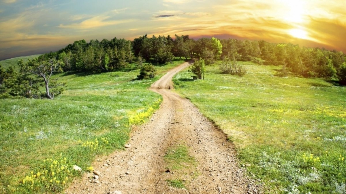 *
hey Screenwriter

boldly embrace your failures

BE TERRIBLE

learn

be less terrible

learn

become only a little terrible

learn some more

and eventually become GREAT