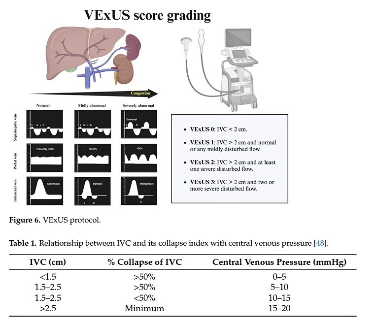 Marcos Gamboa tweet media