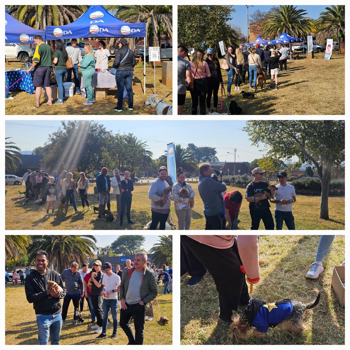 ward69centurion's tweet photo. 🐾 Great turnout at today’s Microchip Drive in Cradock Park! Thanks to @ZwartkopAnimalClinic &amp; everyone who chipped in to keep pets safe. 💚 #Ward69 #PetSafety #MicrochipDrive

@Our_DA
@DAGauteng
@MyLeaderNicole
@page_jackpage https://t.co/CP0xKjPxWE