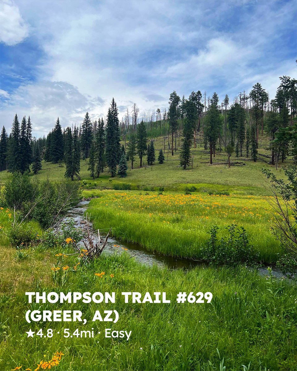 Here’s some advice: DO go chasing waterfalls. This #NationalTrailsDay, hike smarter (and cooler) with our favorite Arizona water trails.