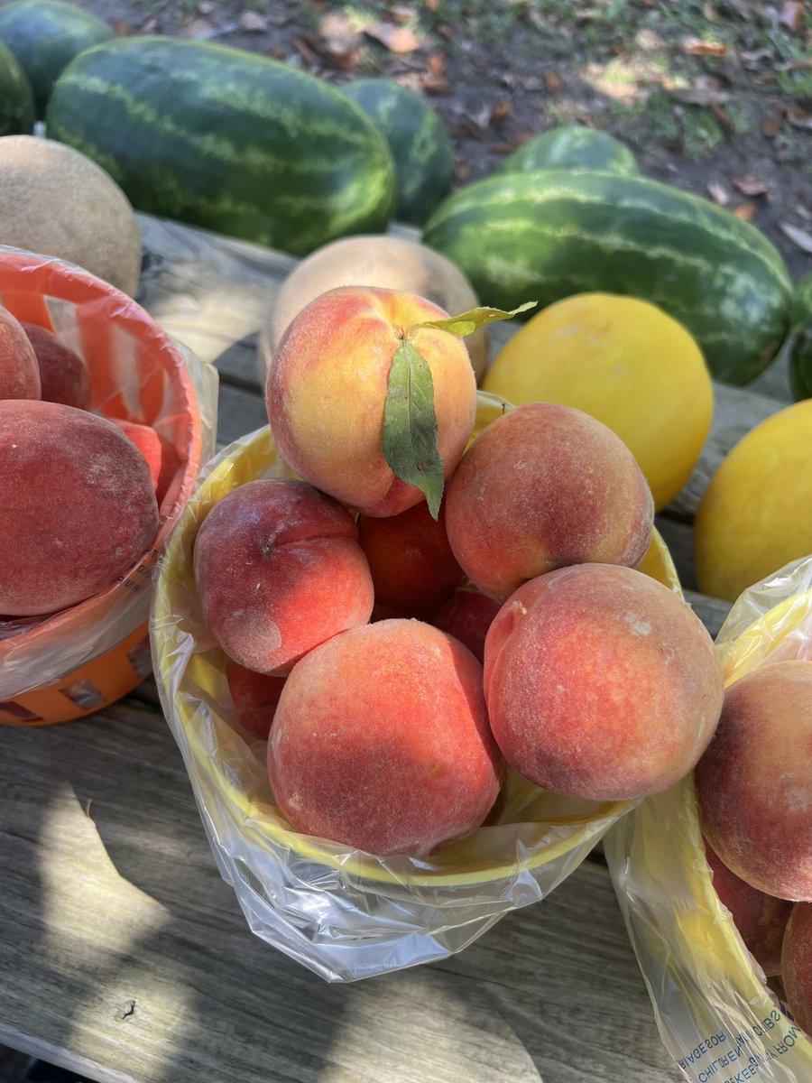 syattCLE's tweet photo. #LowCountryFruit
Crabs 🦀 the pics speak for themselves
✌🏾☀️ https://t.co/QOSCwV2zEy