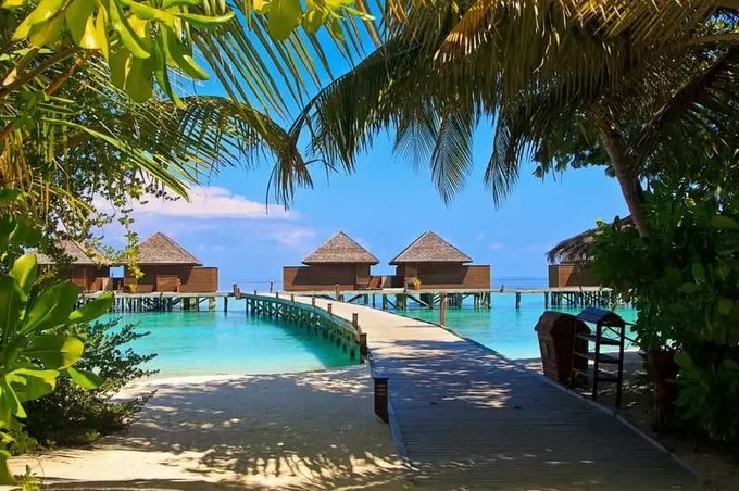 British or Qatar Airways  :  London 🇬🇧  (LHR) to  Maldives 🇲🇻 (MLE)  $842 or $797
skyscanner.com/transport/flig… #Traveldeals #Maldives #Travel