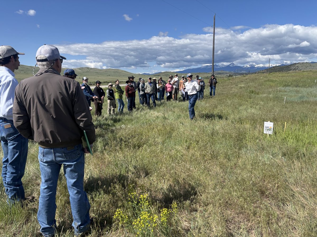 Sreekala Bajwa tweet media