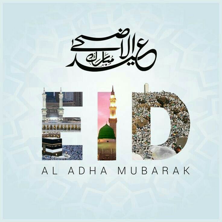 Wishing everyone a joyful Eid al-Adha! May Allah fill your homes with love, peace, and blessings. Let the spirit of sacrifice strengthen our faith and unity.

Eid Mubarak!