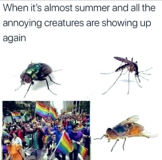 Offensive Nature (@offensivenatur3) on Twitter photo 