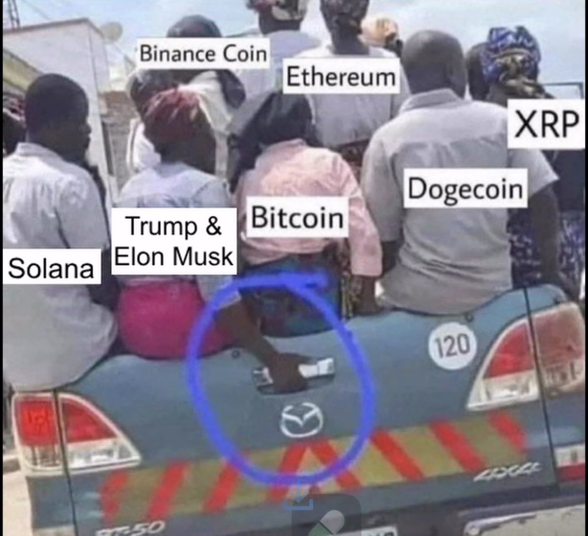 This guy’s they will fuck this market #btc #Trump #ElonMusk