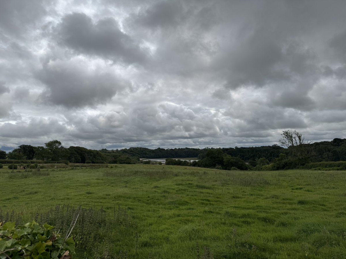 The utterly gorgeous priests board at St Ismael’s Uzmaston, a short drive/walk outside of Haverfordwest. My great grandparents are buried in the churchyard, which has one of the most peaceful vistas of any I’ve visited, overlooking the Cleddau.