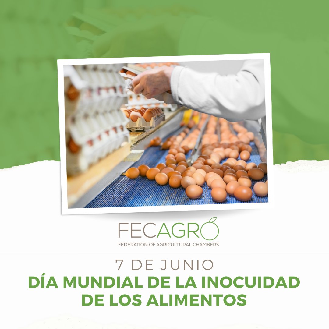 En el sector agropecuario, la inocuidad es prioridad.  Desde la siembra hasta el empaque, cada proceso se cuida con responsabilidad para garantizar alimentos de calidad en la mesa de las familias. 🥦🥕🐣

#DíaMundialDeLaInocuidad