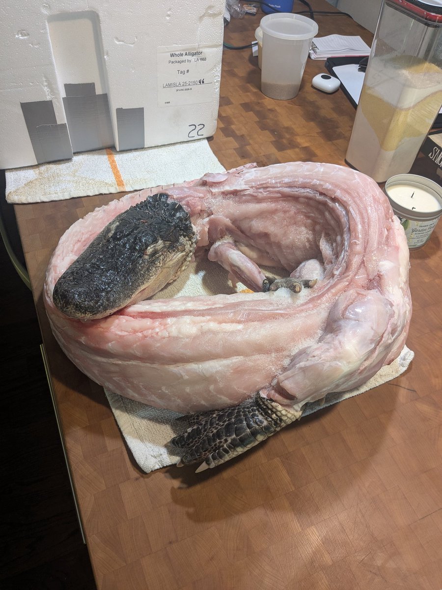 Matt Evans tweet media