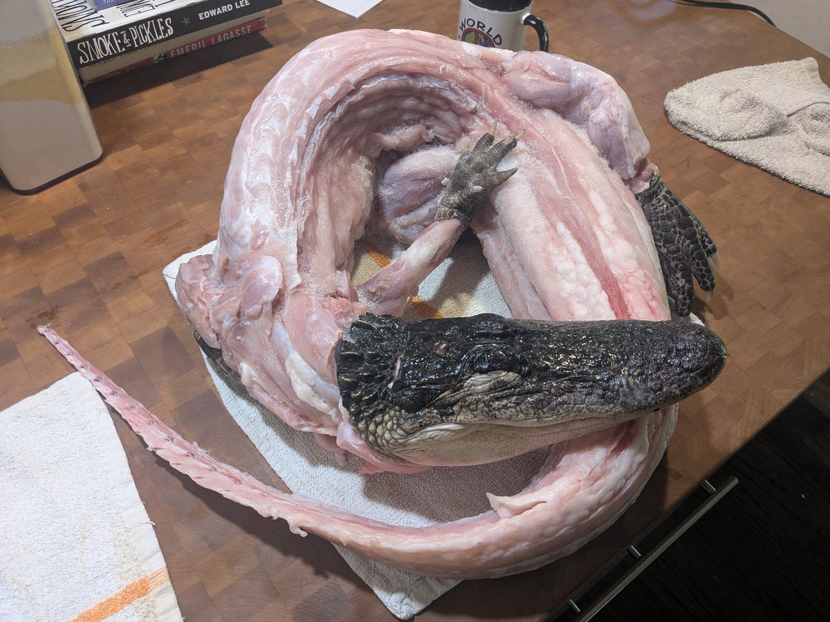 Matt Evans tweet media