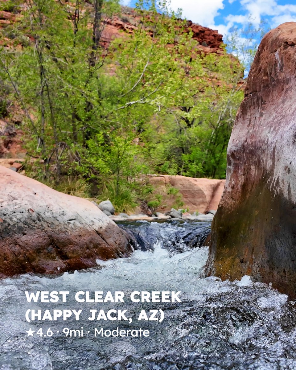 Visit Arizona (@arizonatourism) on Twitter photo Find the complete list at: tinyurl.com/4939ckff
#📷: @kylie26frankie, @trailblazingmomma, @meeshmishka, <a href="/jessica/">dark jessica</a>.caniglia, <a href="/allstott/">Valerie Nicholson</a> Find the complete list at: tinyurl.com/4939ckff
#📷: @kylie26frankie, @trailblazingmomma, @meeshmishka, <a href="/jessica/">dark jessica</a>.caniglia, <a href="/allstott/">Valerie Nicholson</a>