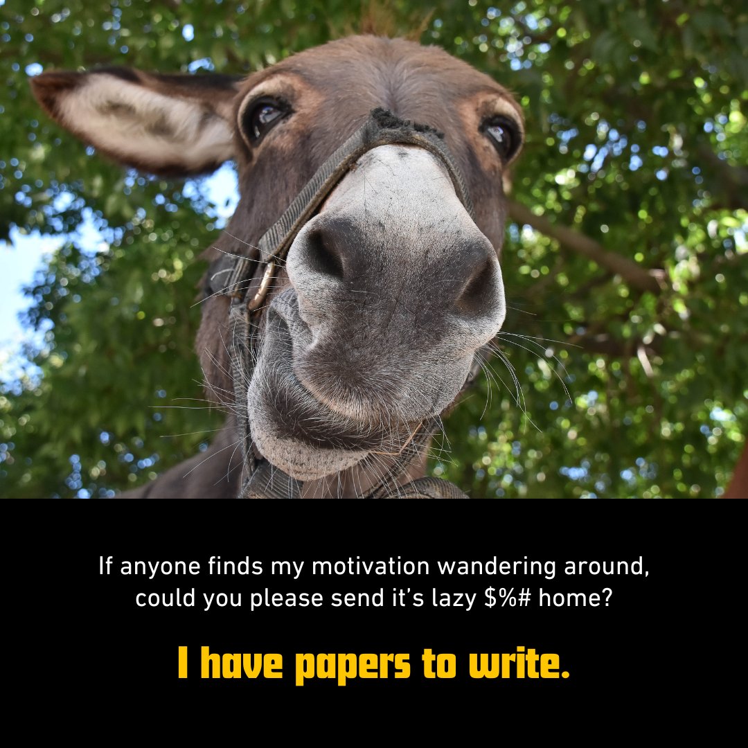 AmericanMilU's tweet image. Weekend scaries.. 😬📚

#Studybreak#AMU #veterans #collegememes