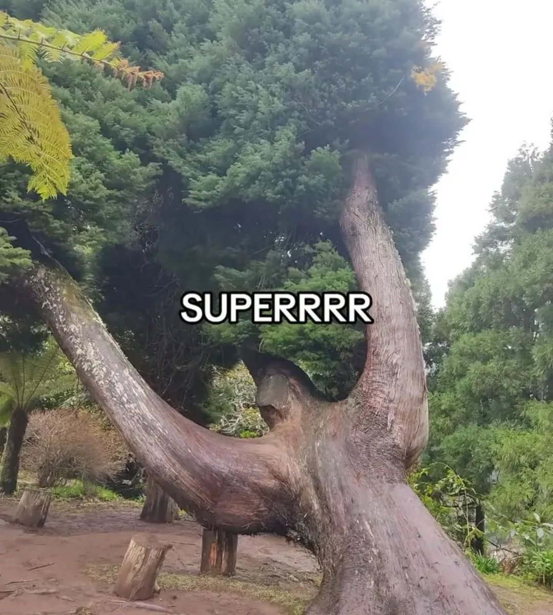 UniSerenity14's tweet image. 