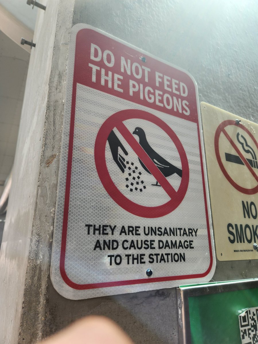 Do not play Shadowrun with pigeons!