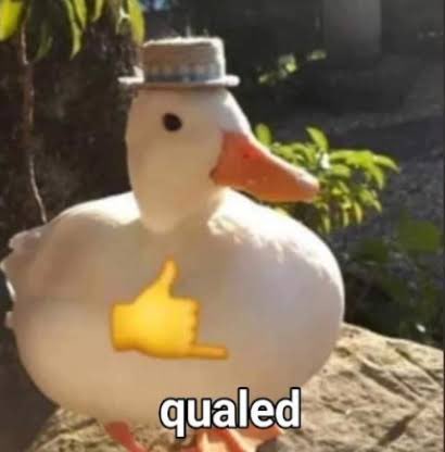 Qualed again🤭
