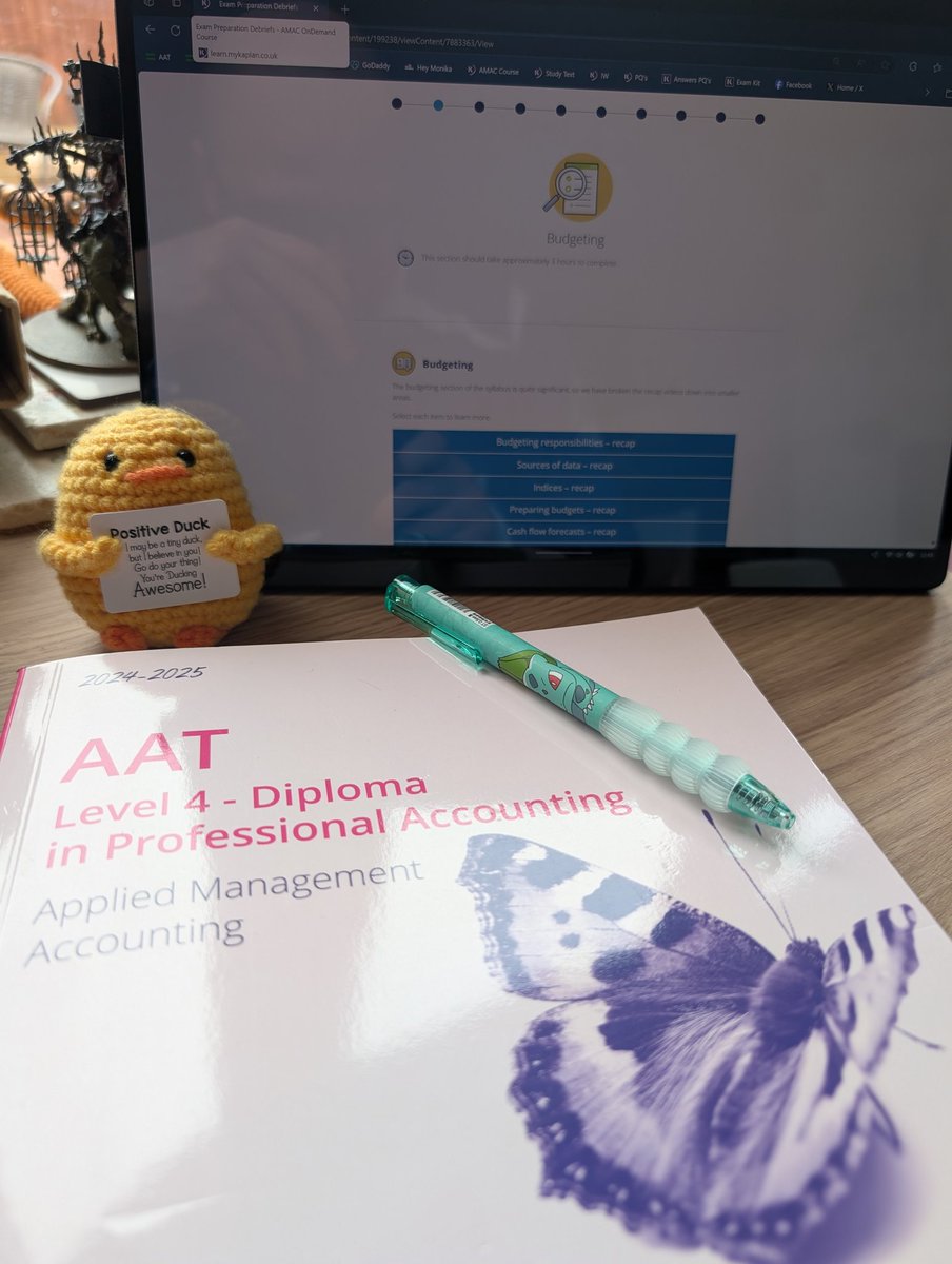 RaptorBookkeep's tweet photo. Learning never stops! I am an experienced and qualified bookkeeper but I'm pushing myself to become a qualified accountant. I have a Positive Duck to keep me company! 🫶 #bookkeeping #smallbusinessbigdreams #accounting #studymotivation #smallbizuk https://t.co/oLtdPANAjE